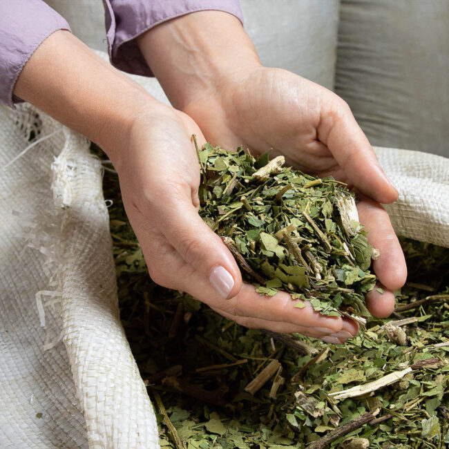 Karla En Deposito De Yerba