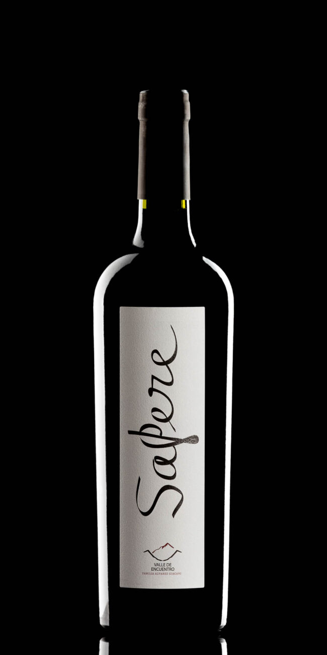 Vino Valle de Encuentro Sapere Malbec
